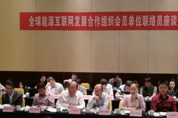 陈静参加全球能源互联网发展合作组织会员单位 联络员座谈会