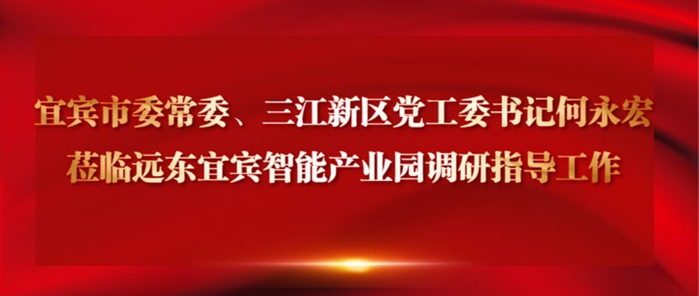 宜宾市委常委、三江新区党工委书记何永宏莅临远东宜宾智能产业园调研指导工作