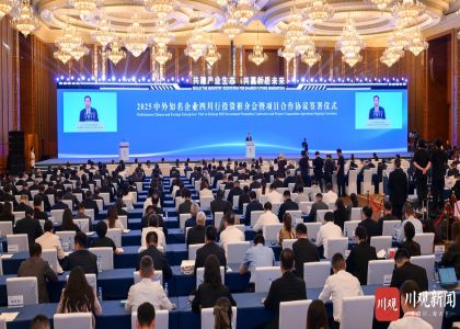 蒋锡培出席2025中外知名企业四川行，并受到四川省副省长陈书平亲切会见