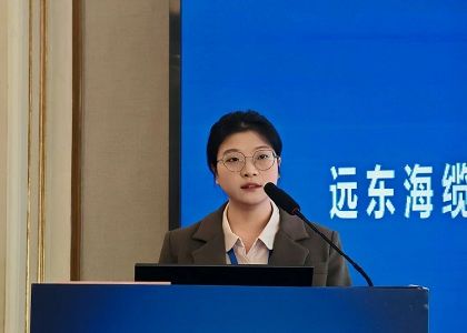 远东海缆受邀出席2025海上风电产业链发展大会暨第六届...